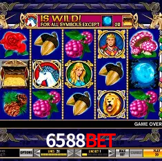 6588bet Rio de Janeiro - Bonus Terms